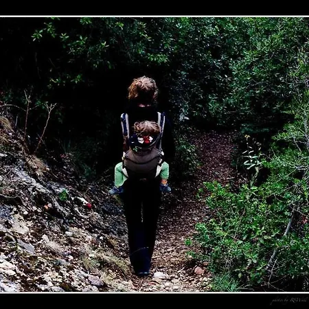 Climbers